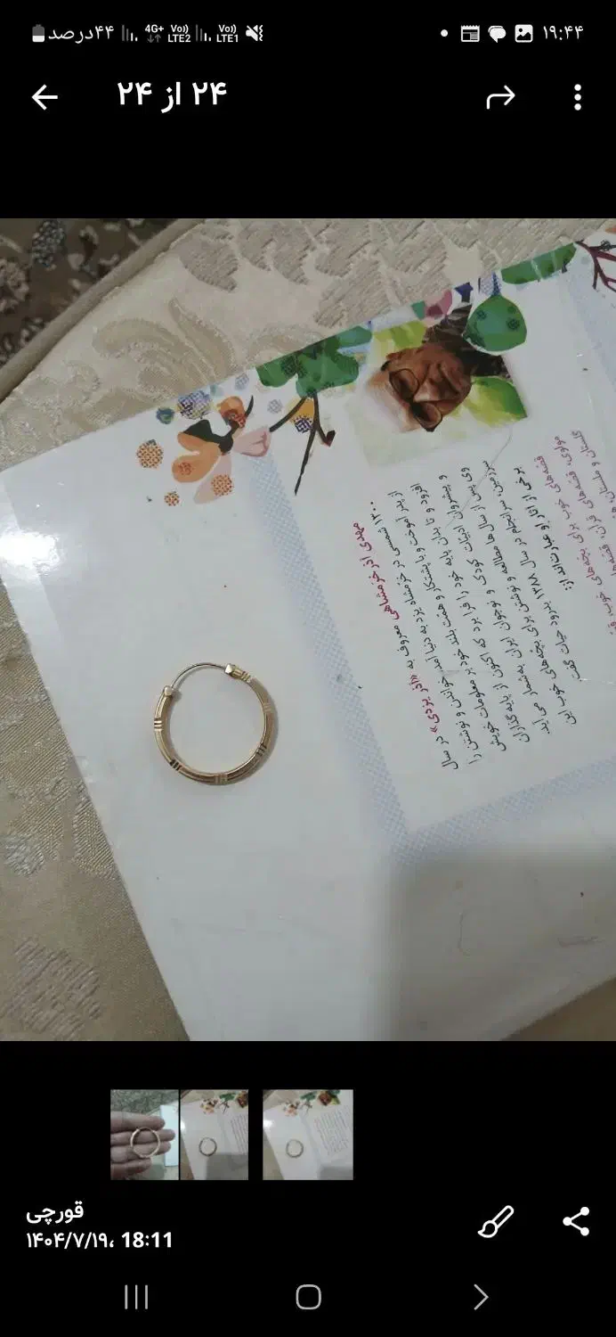لنگه گوشواره ای گم شده طلا|جواهرات|کاشان, باغ فین|دیوار