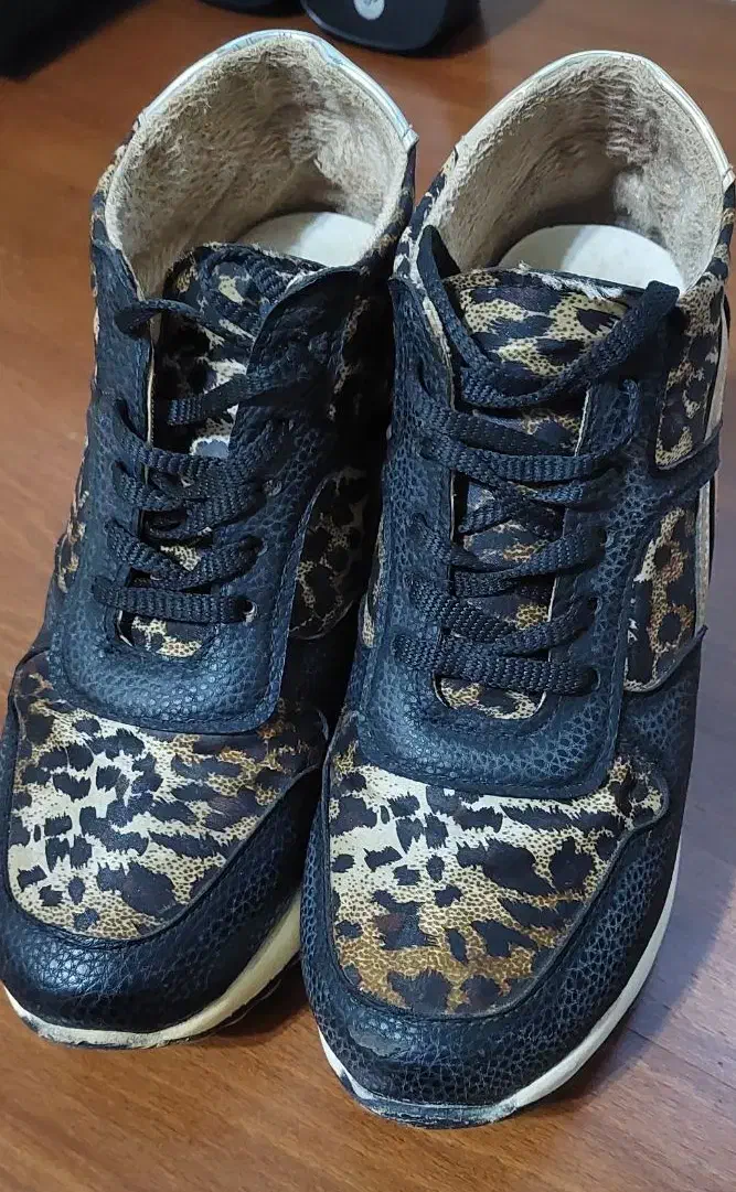 کفش اسپورت پلنگی کاملا سالم|کیف، کفش، کمربند|عجب شیر, |دیوار