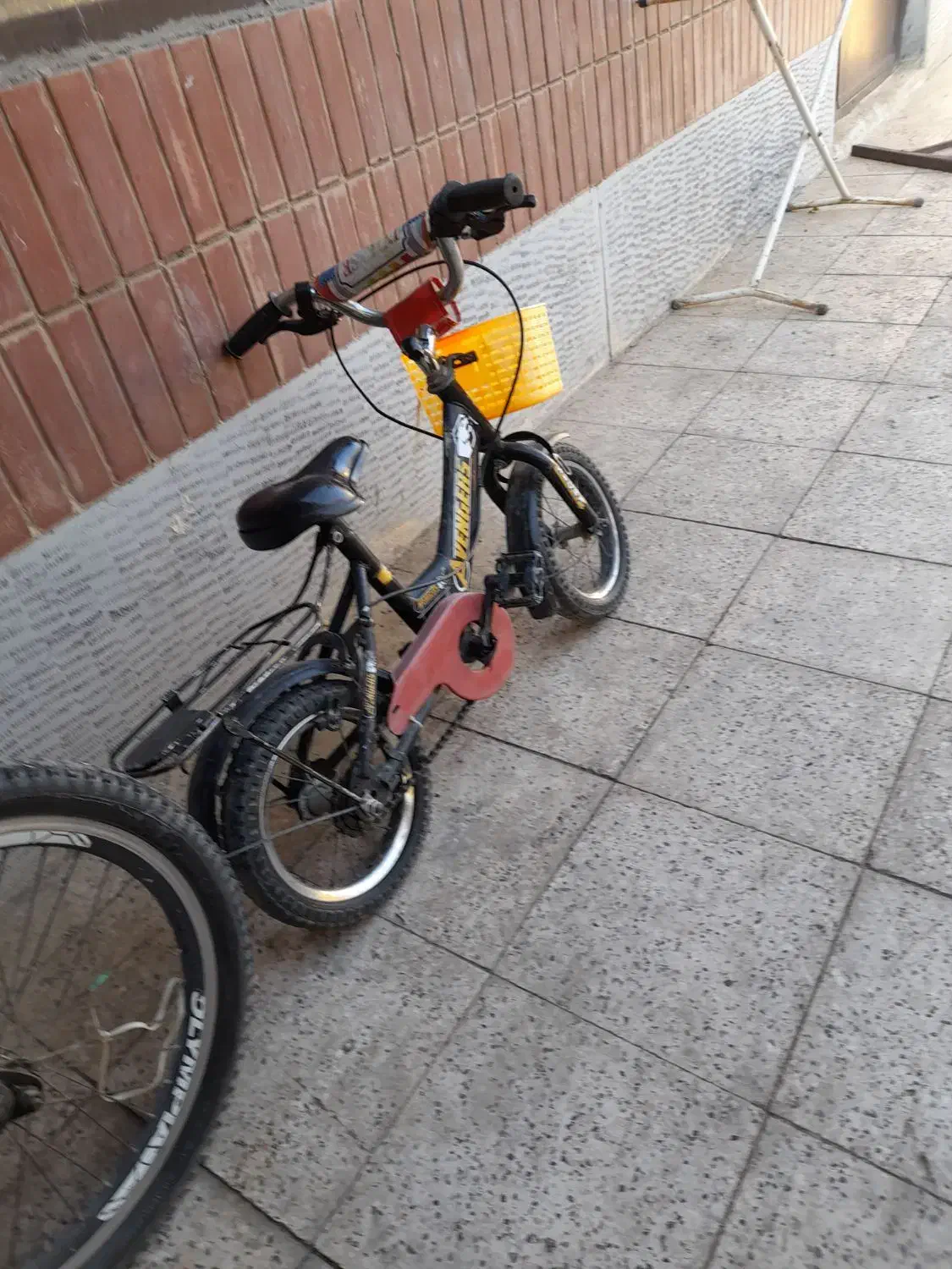 نوبهار|دوچرخه، اسکیت، اسکوتر|گلبهار, نوبهار|دیوار