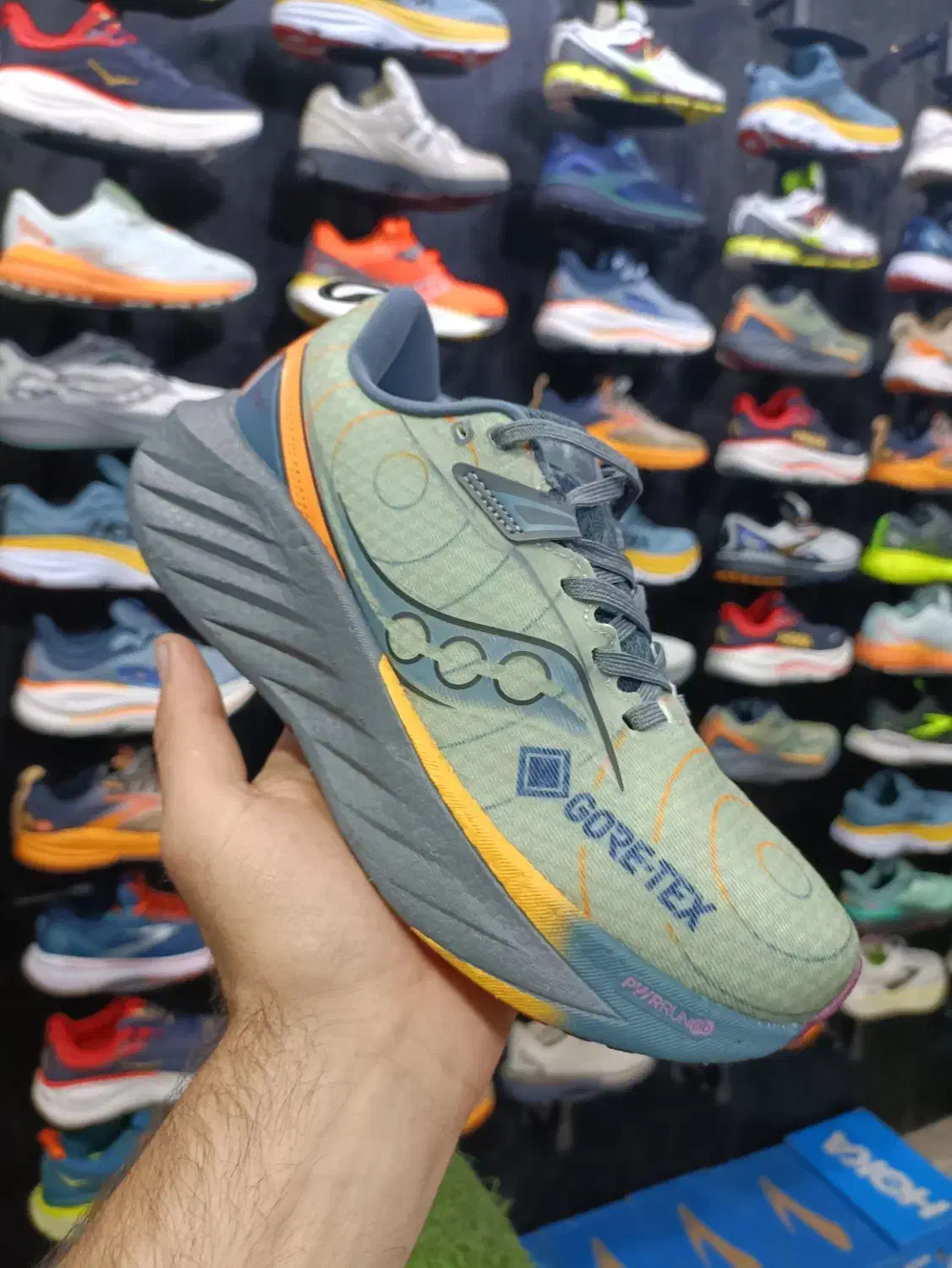 کفش ساکو.نی|کیف، کفش، کمربند|زنجان, |دیوار