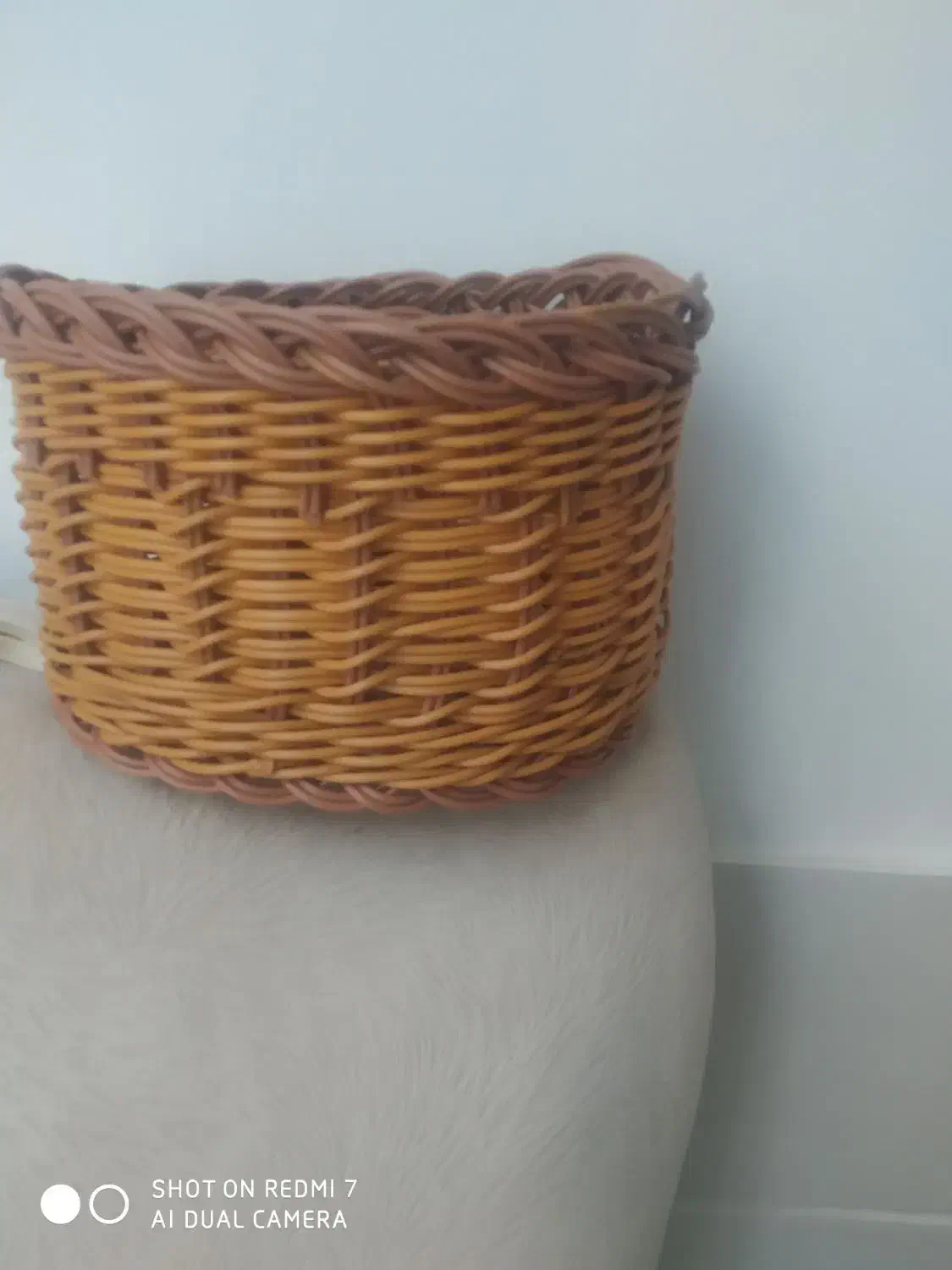 جاسبزی جامیوه جاقاشق بیضی|ظروف سرو و پذیرایی|شازند, |دیوار