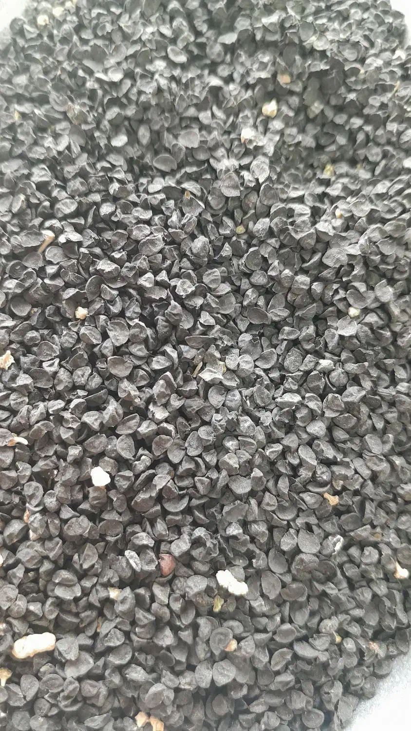 بذر پیاز|خدمات باغبانی و درختکاری|سروآباد, |دیوار