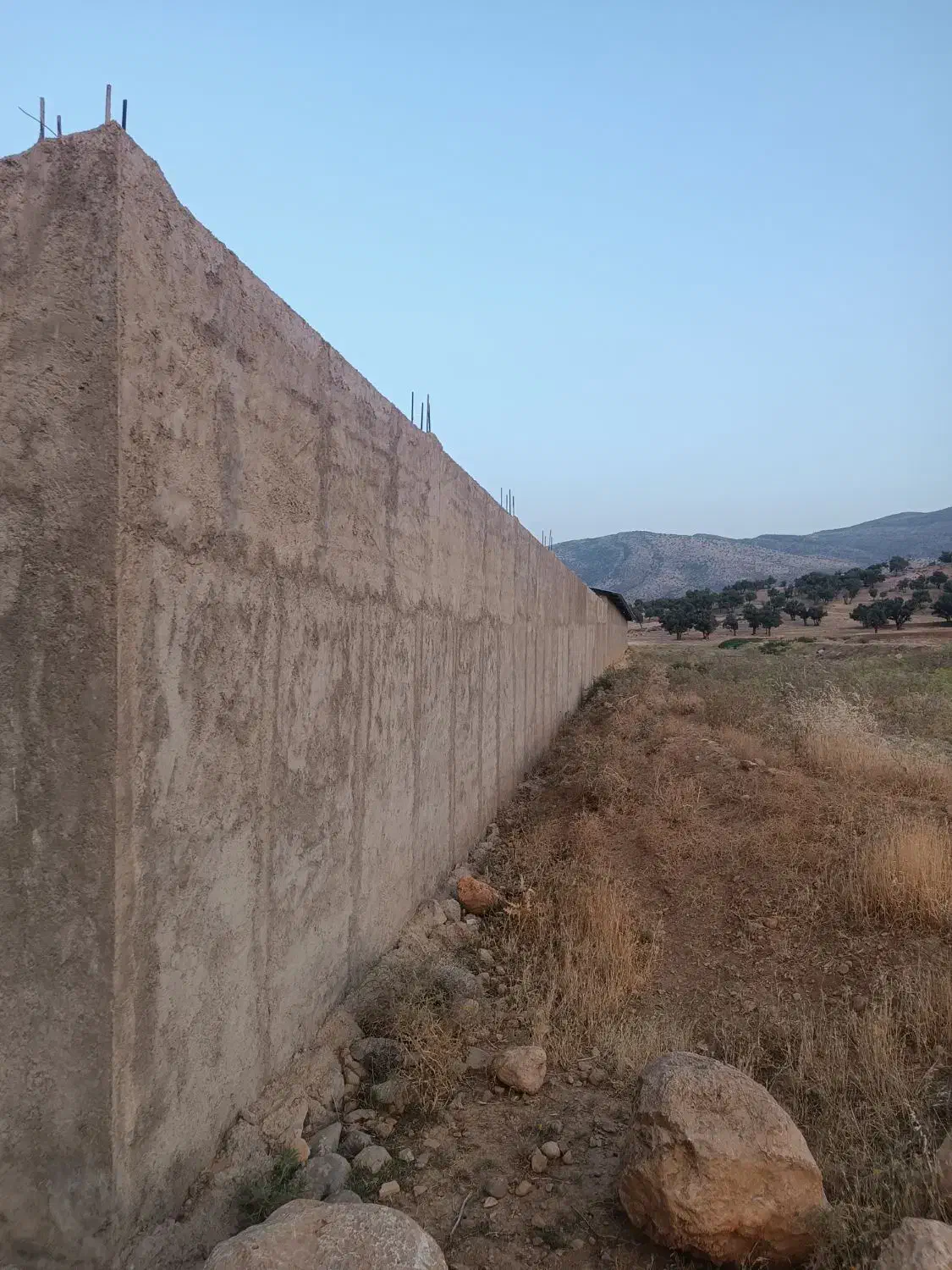 دامداری رهن و اجاره|اجارهٔ دفتر صنعتی، کشاورزی، تجاری|کامفیروز, |دیوار