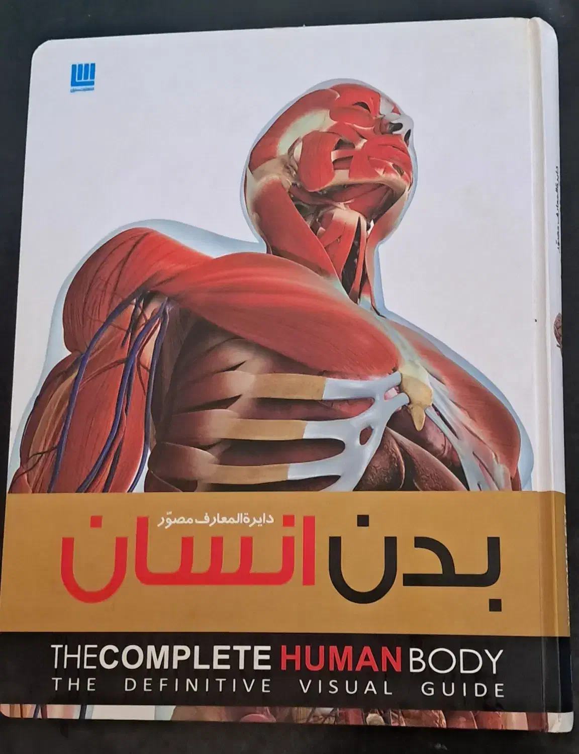دایرة المعارف مصور بدن انسان|کتاب و مجله تاریخی|زنجان, |دیوار