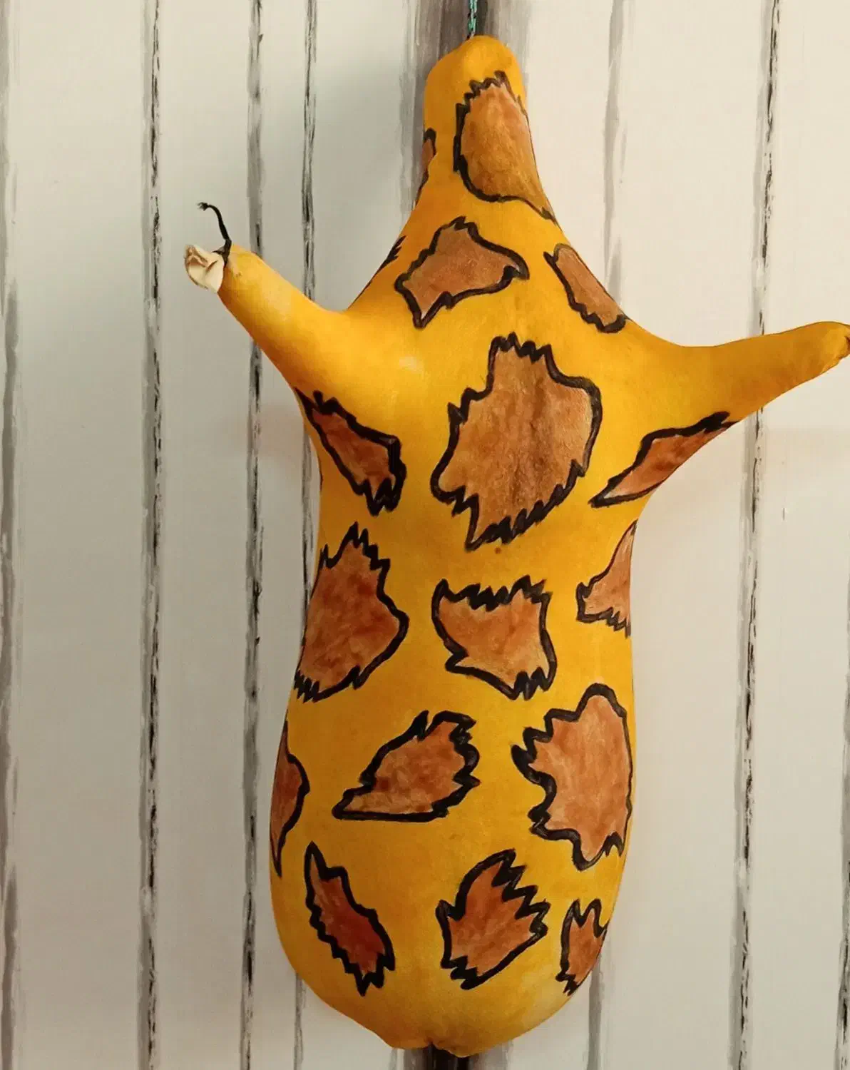 نواکده|سازهای بادی|بوشهر, |دیوار