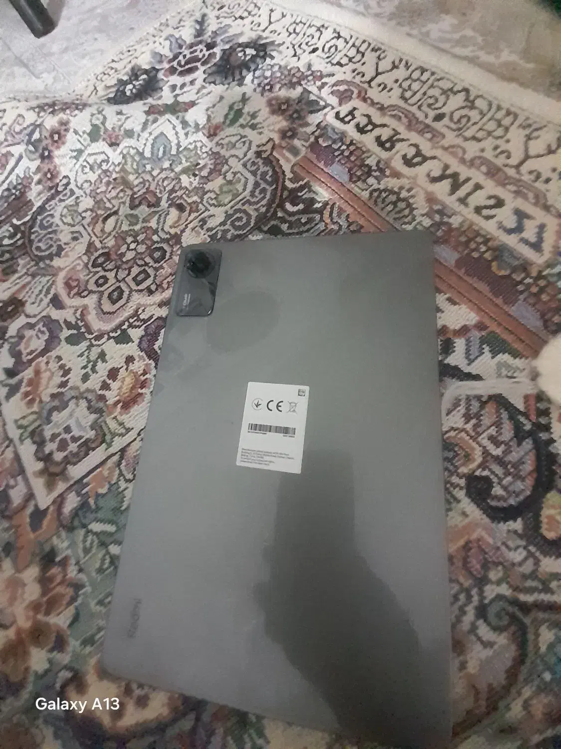 تبلت شیامی|تبلت|کلاله, |دیوار