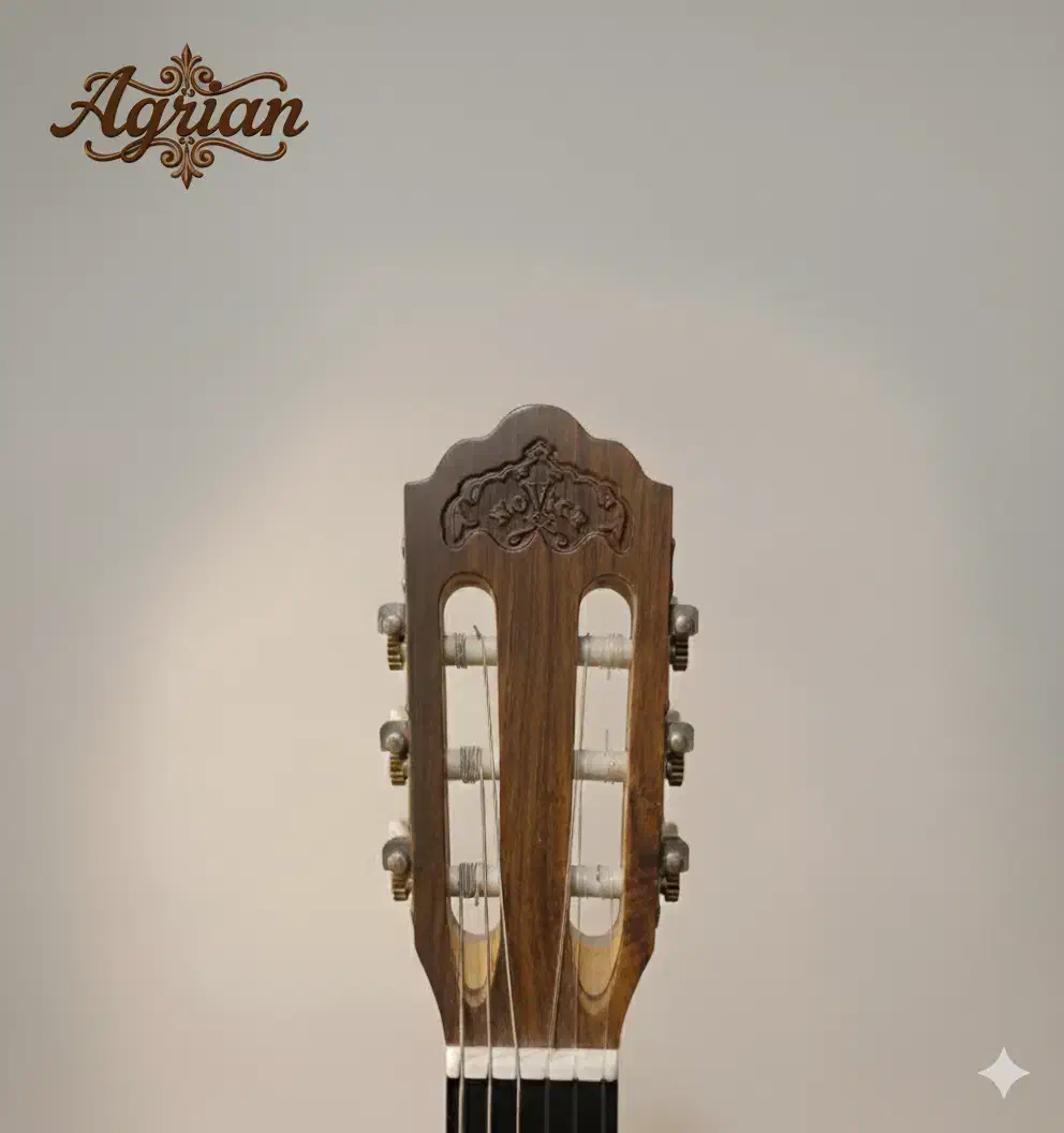 گیتار برند AGRIN|گیتار، بیس، امپلیفایر|شهرکرد, |دیوار