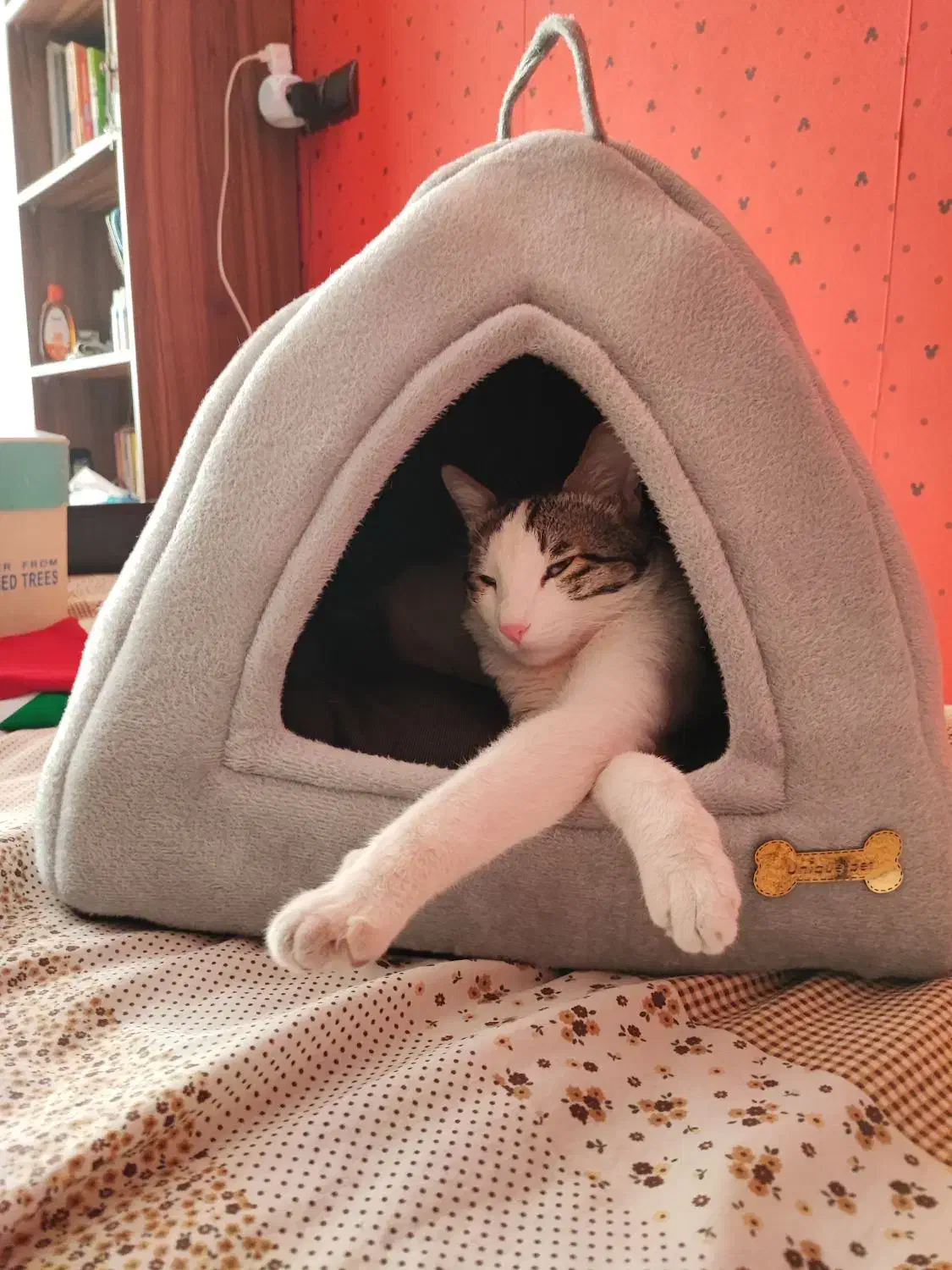 لانه گربه|لوازم جانبی حیوانات|تهران, هاشمی|دیوار