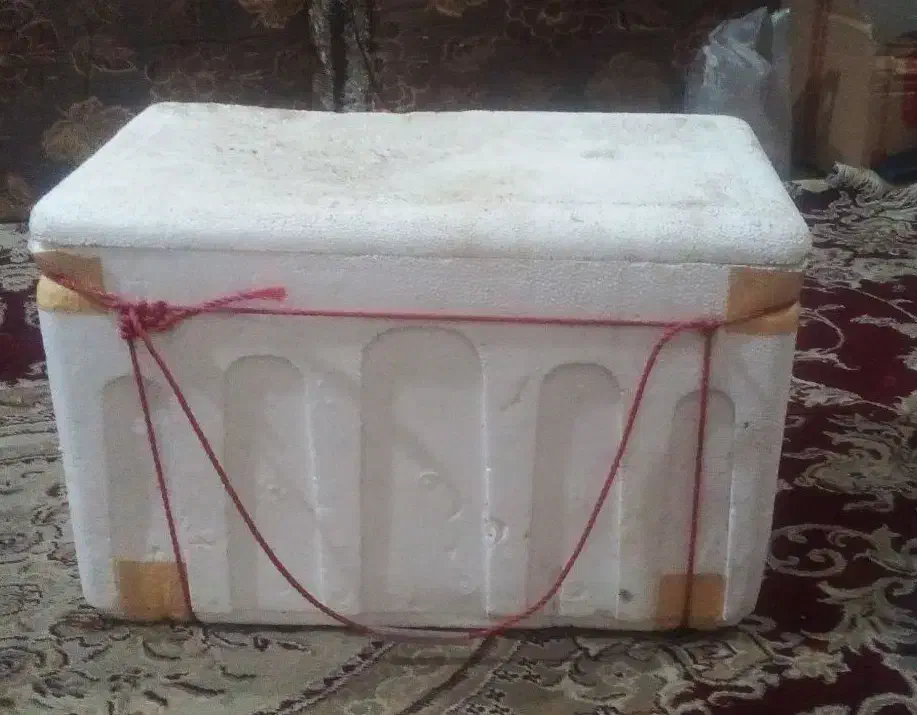 فلاکس بوچی و مخلوط کن شارجی|ظروف نگهدارنده، پلاستیکی، یک‌بارمصرف|بندرعباس, |دیوار