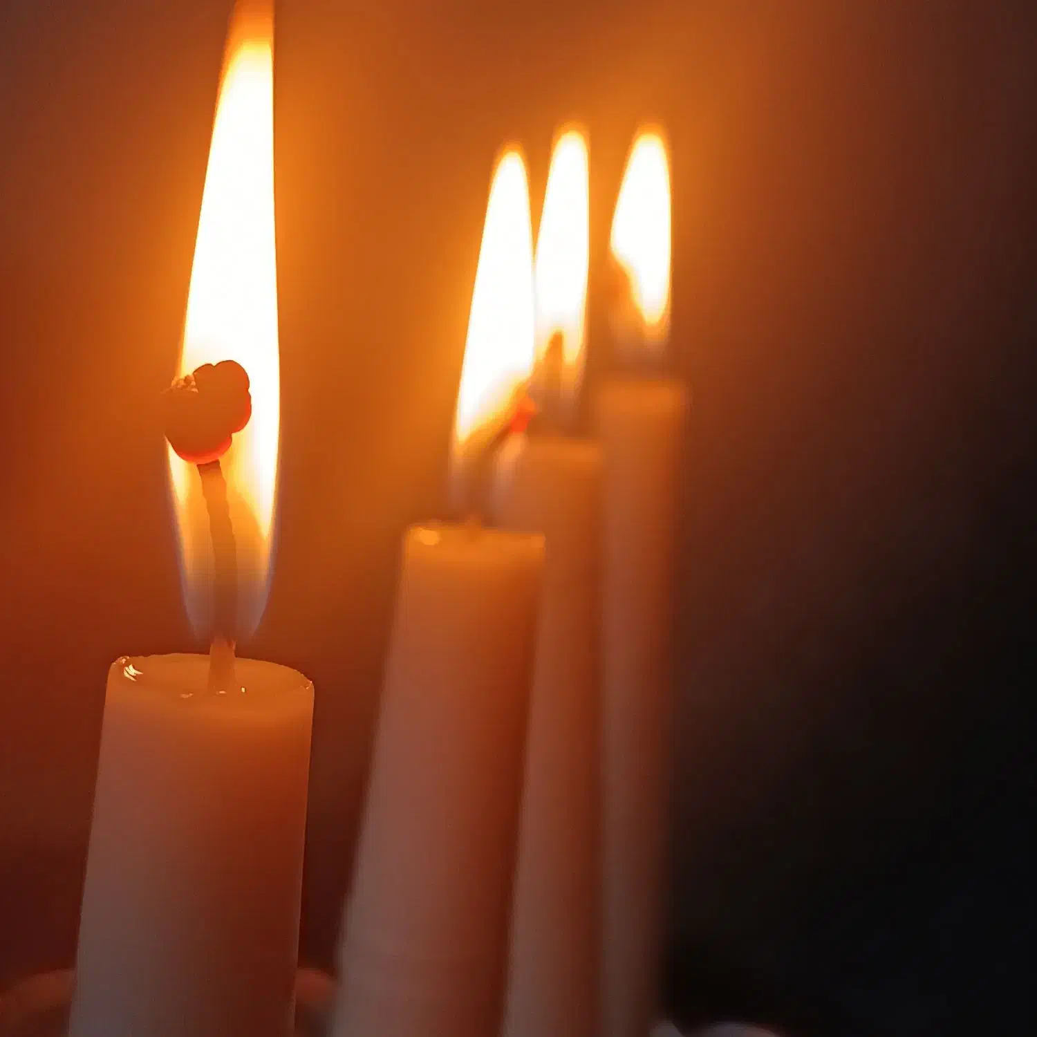 شمع تراپی|خدمات پذیرایی، مراسم|شیروان (خراسان), |دیوار