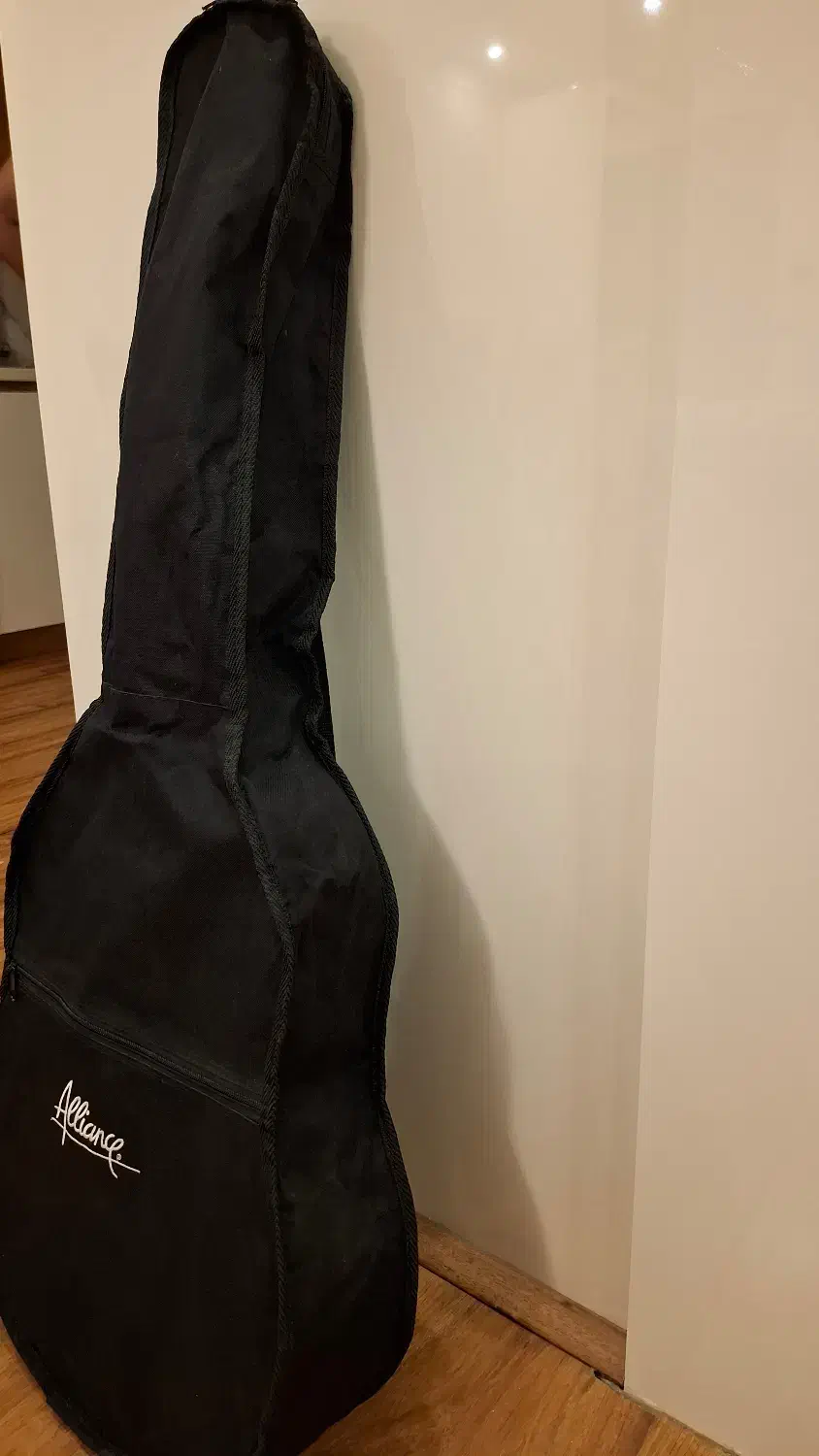 سافت کیس گیتار 4/4|گیتار، بیس، امپلیفایر|تهران, فردوس|دیوار