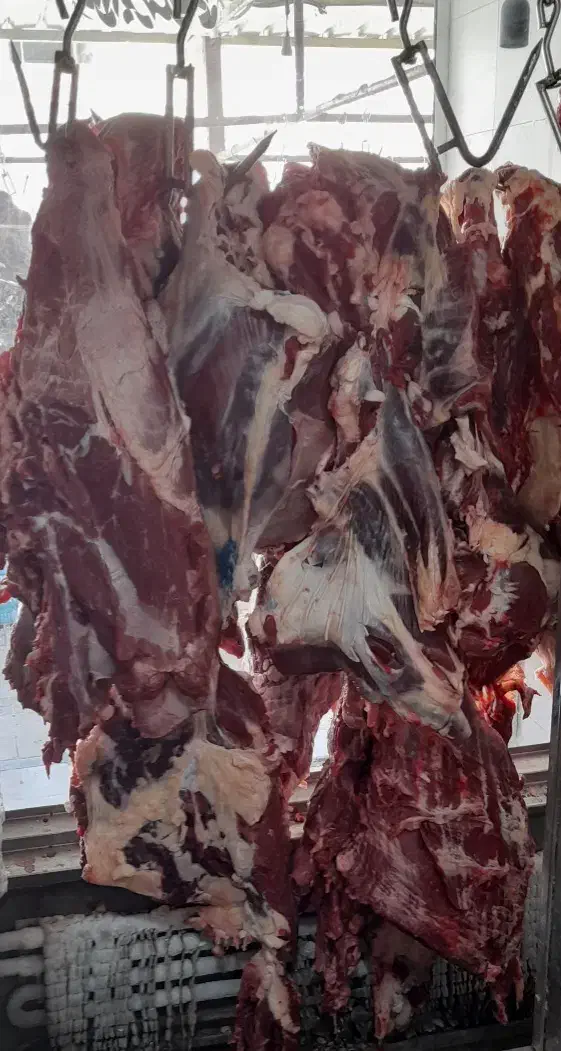 انواع گوشت گرم قیمت مناسب|خوردنی و آشامیدنی|شیراز, درکی|دیوار