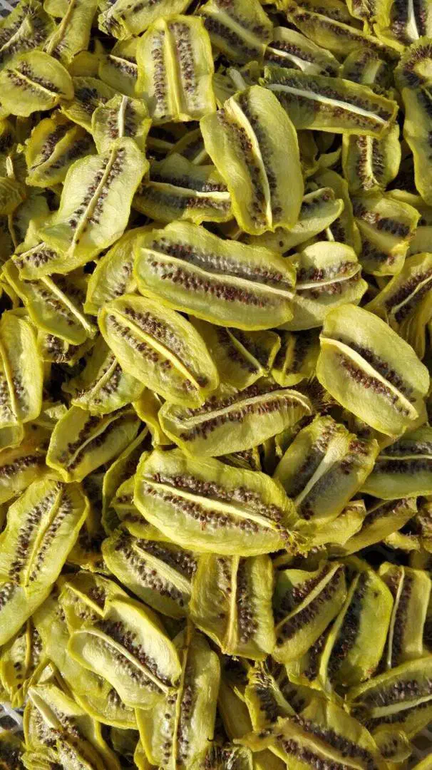 استخدام دایمی با بیمه|استخدام صنعتی، فنی، مهندسی|تالش, طولارود|دیوار