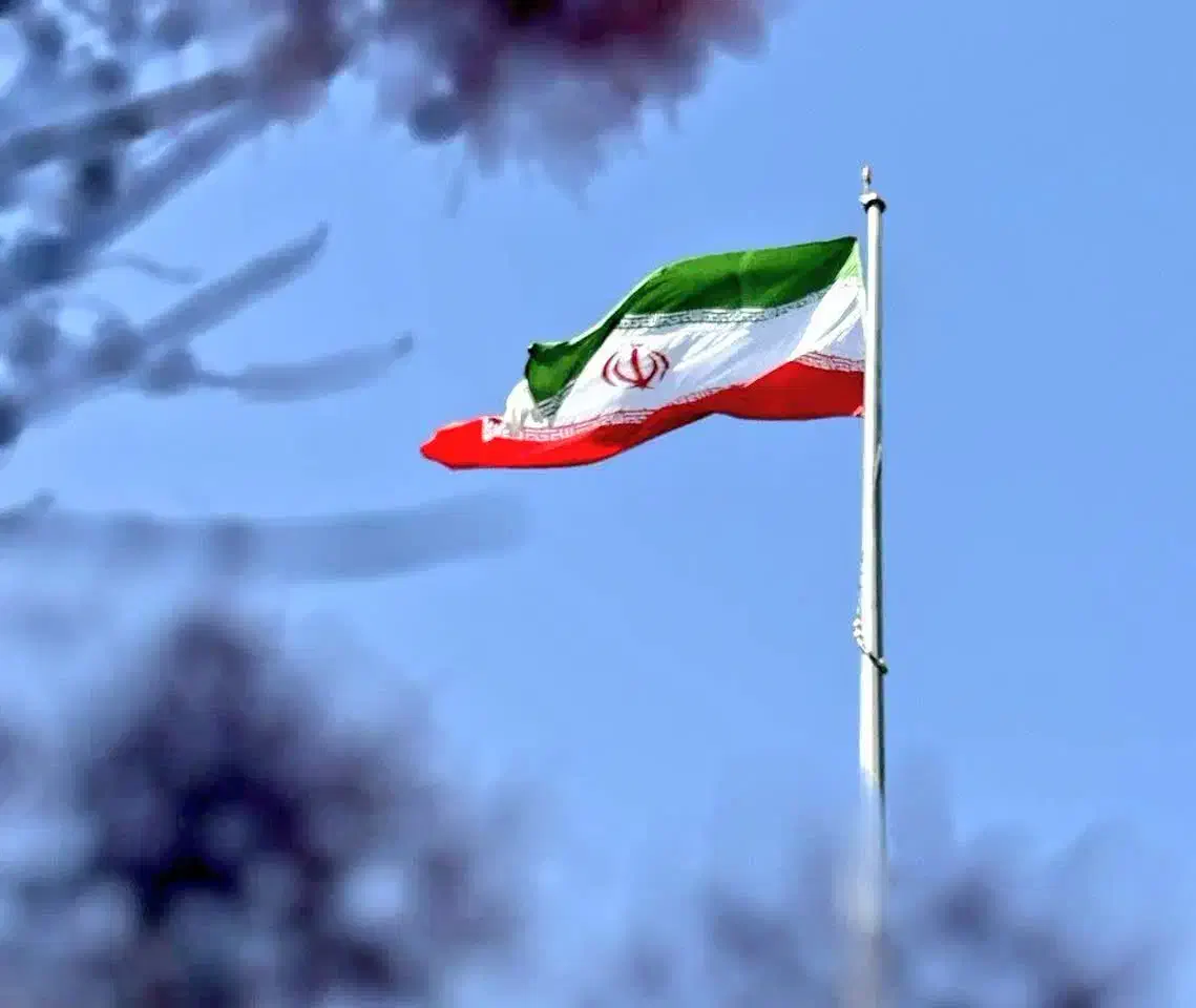 راهنمایی برای راه‌اندازی مغازه|فعالیت داوطلبانه|لنگرود, |دیوار