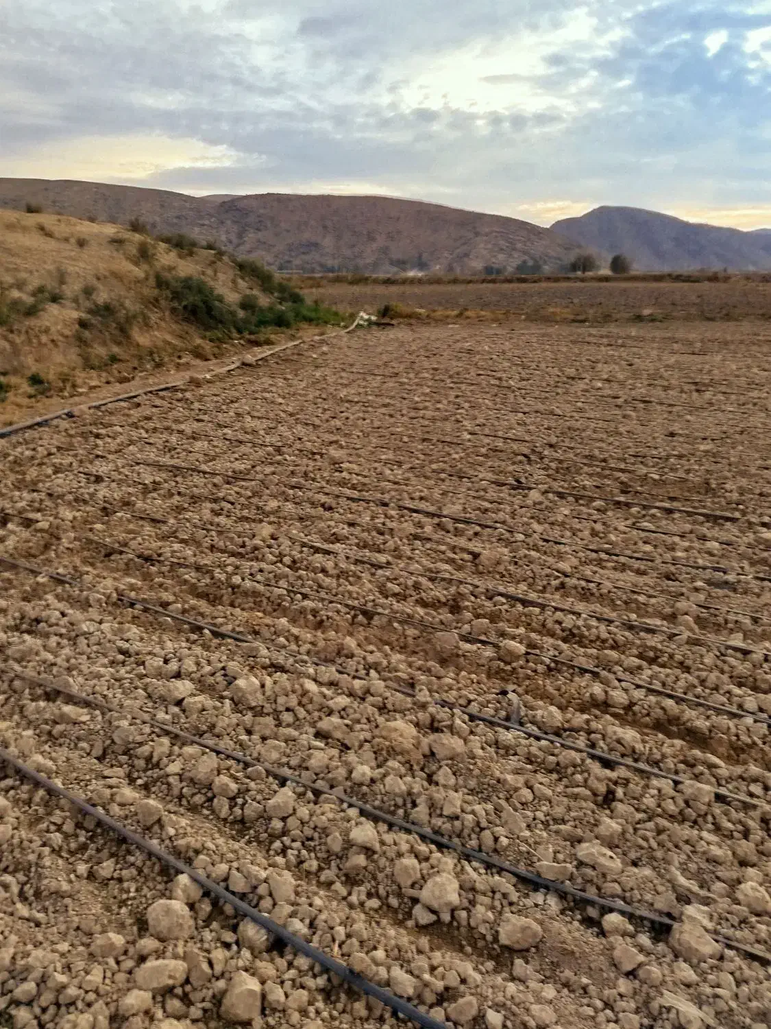 زمین کشاورزی برای باغچه|فروش زمین و ملک کلنگی|نورآباد ممسنی, |دیوار