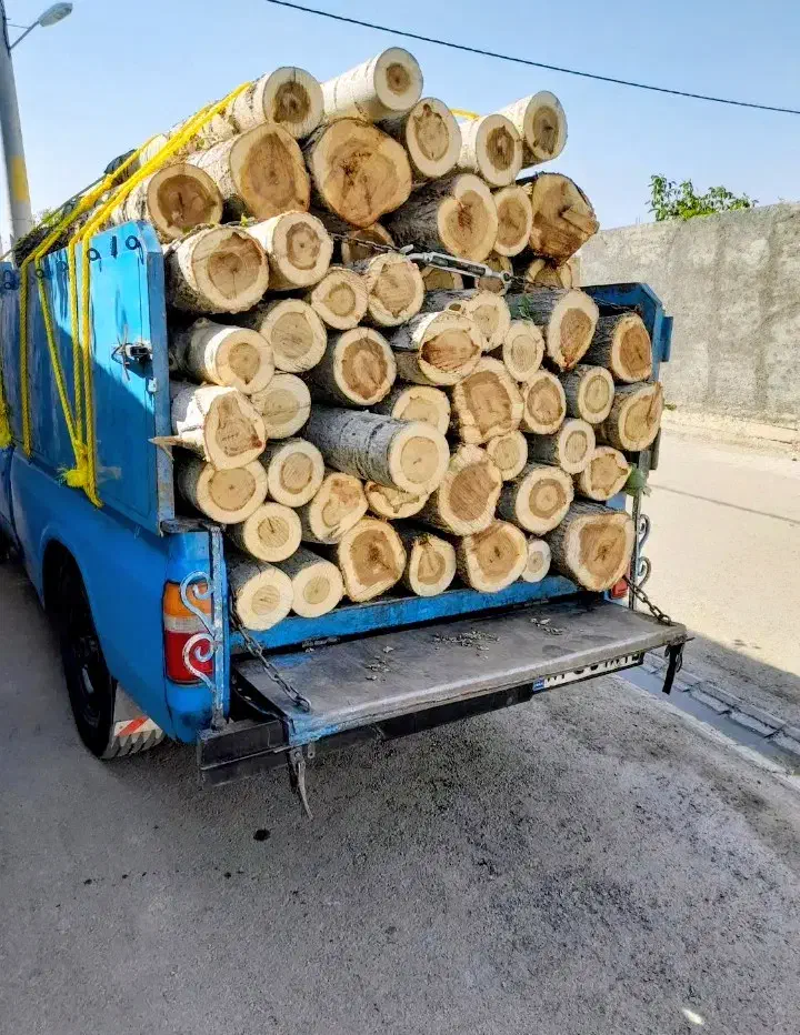 خرید و بریدن چوب|خدمات باغبانی و درختکاری|مرند, |دیوار