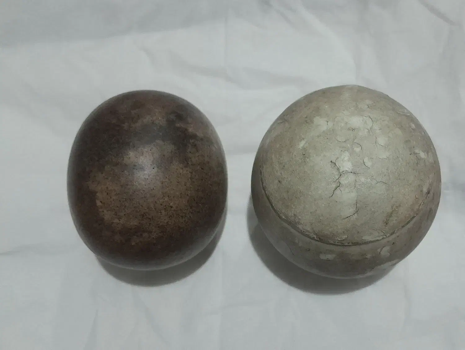 مهره های قدیمی زیرخاکی بشرط|کلکسیون اشیاء عتیقه|فردیس, شهرک هفده شهریور|دیوار