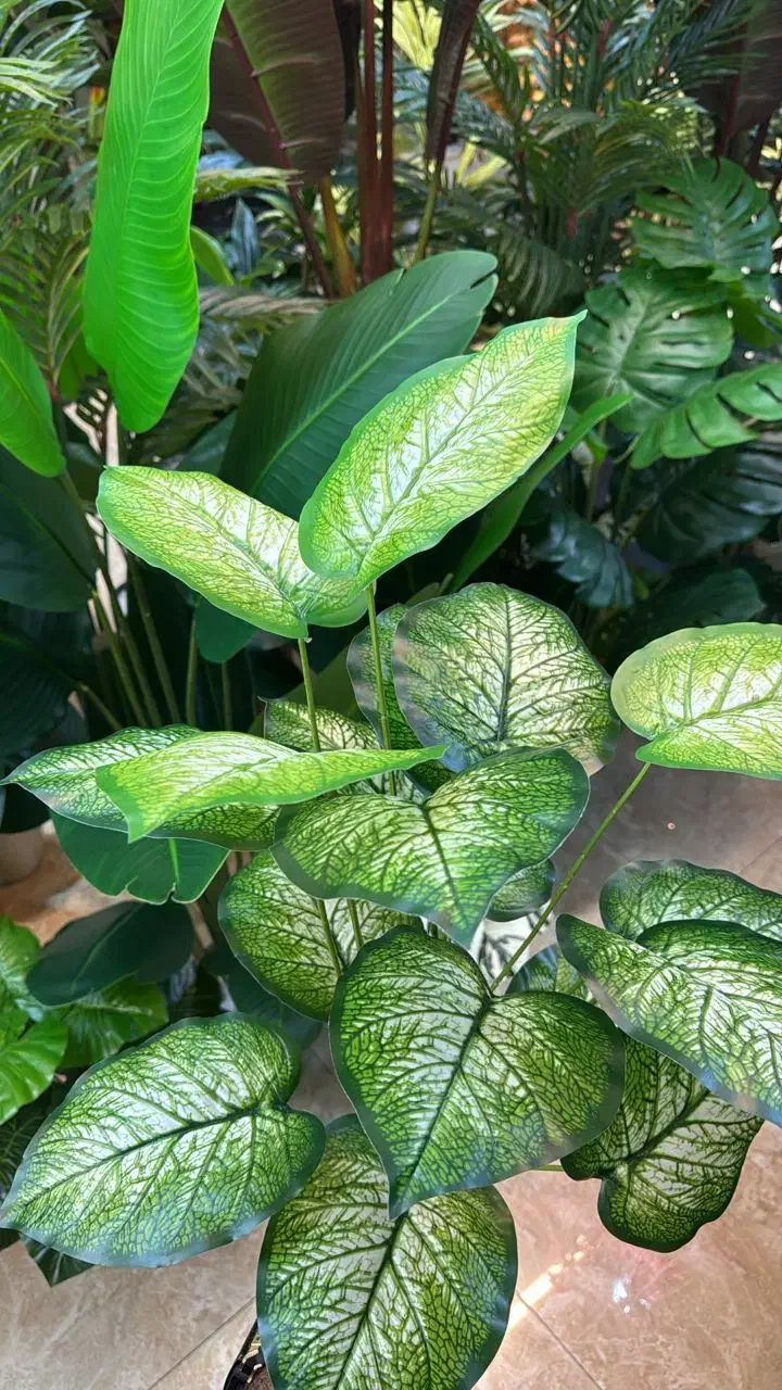 درختچه مصنوعی|گل مصنوعی|اهواز, گلستان|دیوار