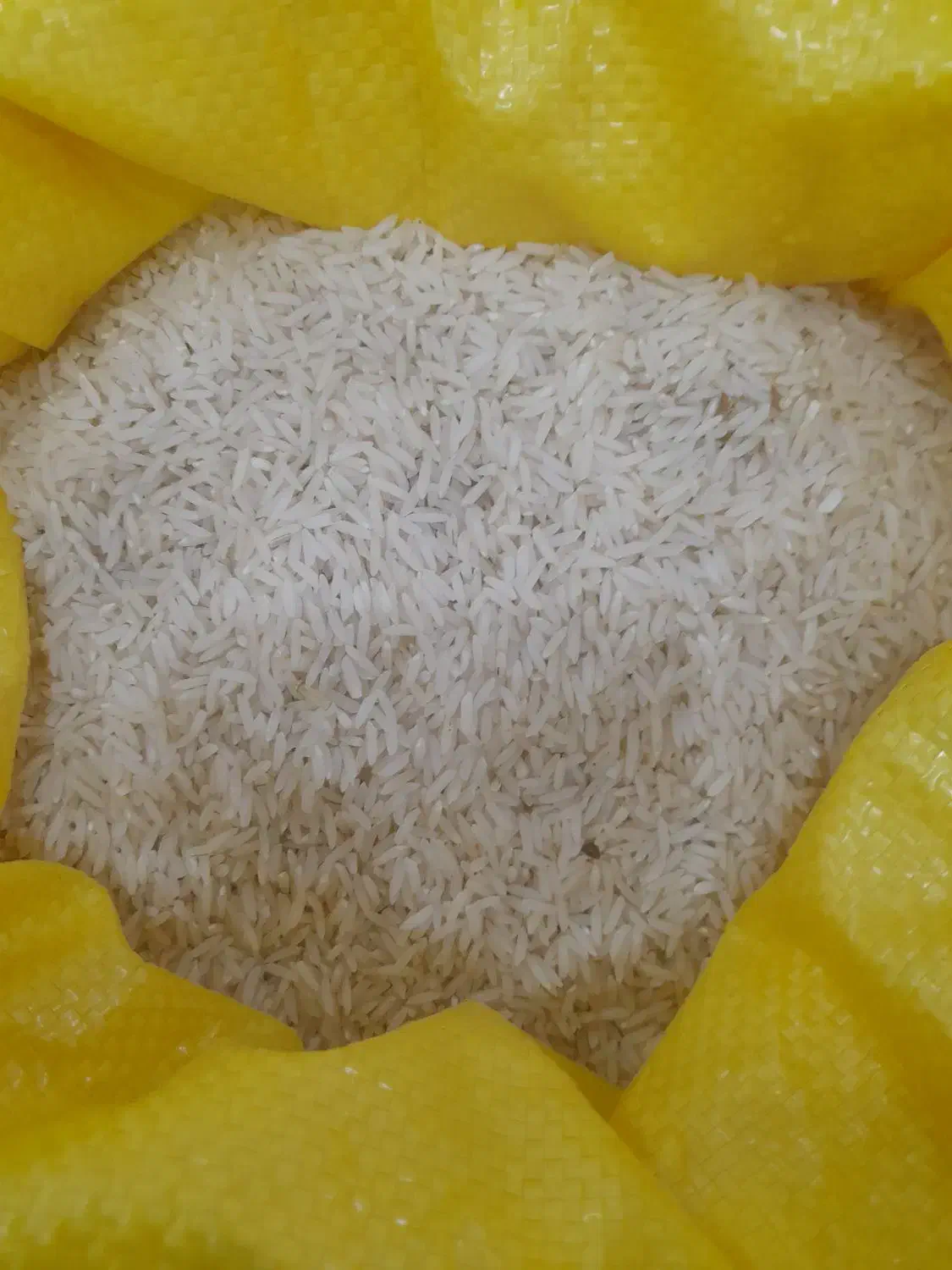 برنج هاشمی و راتون(شاه برنج)|خوردنی و آشامیدنی|صومعهسرا, |دیوار