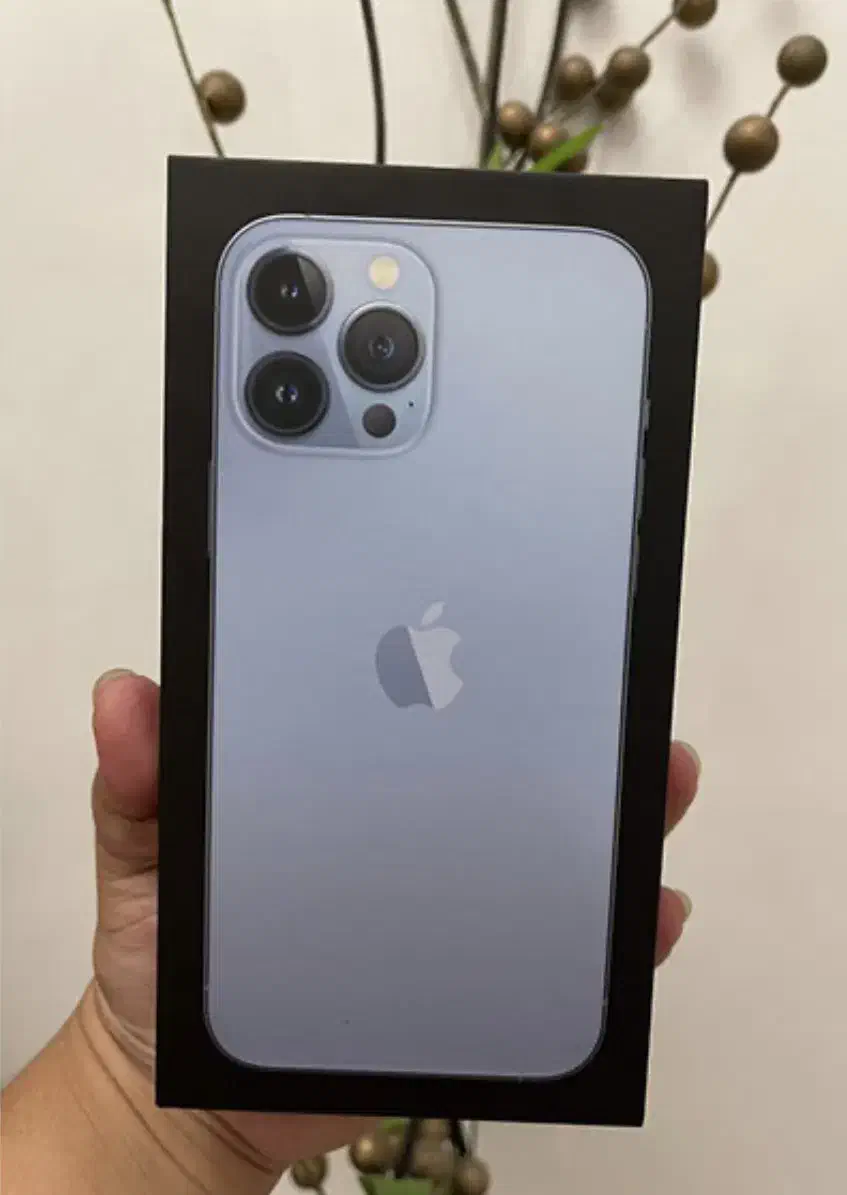 iphone 13 promax 256  اک نو|موبایل|اهواز, فاز ۱ پادادشهر|دیوار