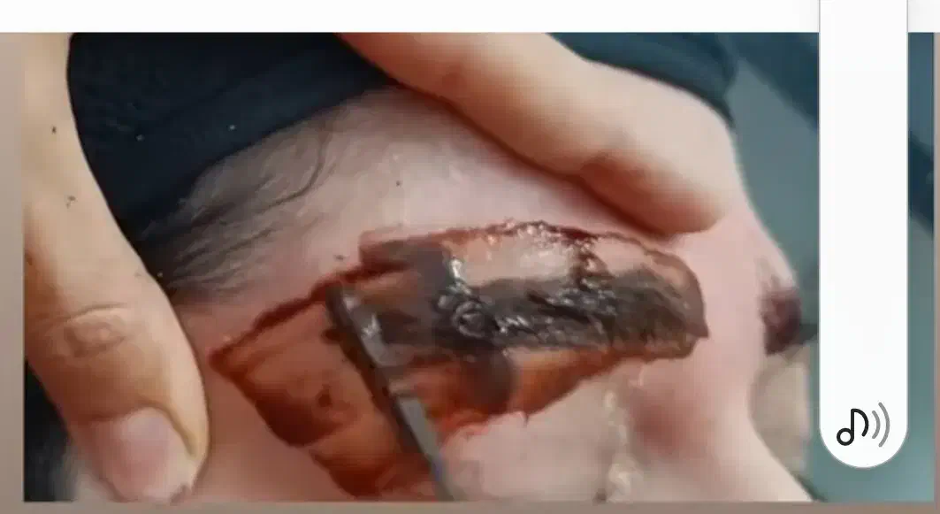 ریموو ابرو بصورت تخصصی بدون آسیب بدون درد|خدمات آرایشگری و زیبایی|بروجرد, |دیوار