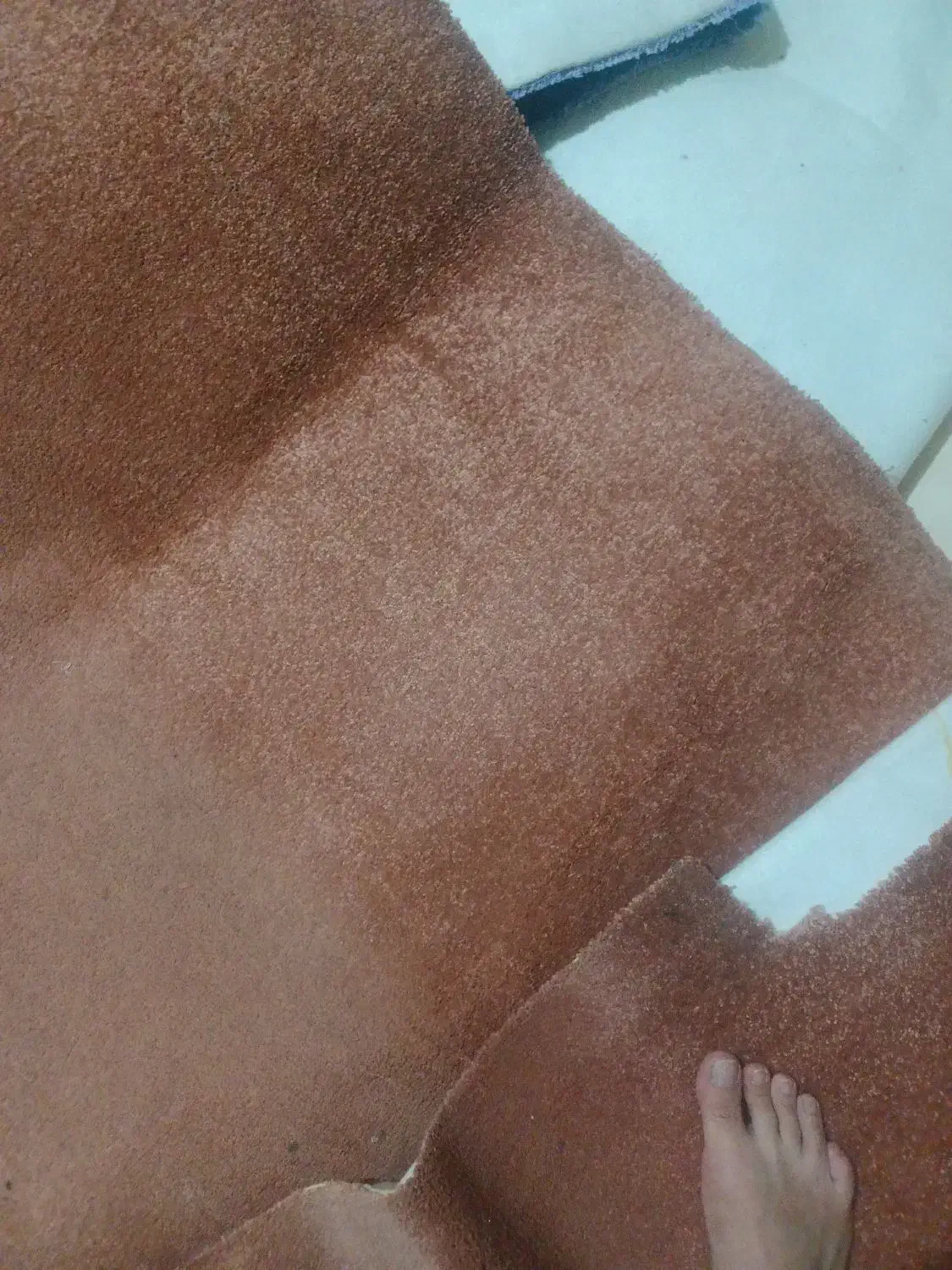 پالاز موکت،پارچه چرمی کیف دوزی|موکت|پرند, فاز ۴|دیوار