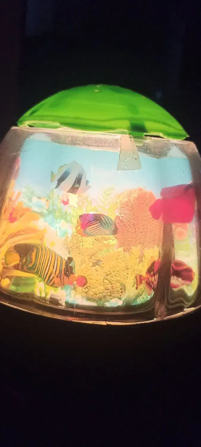 شو خواب|چراغ خواب و آباژور|سردشت, |دیوار