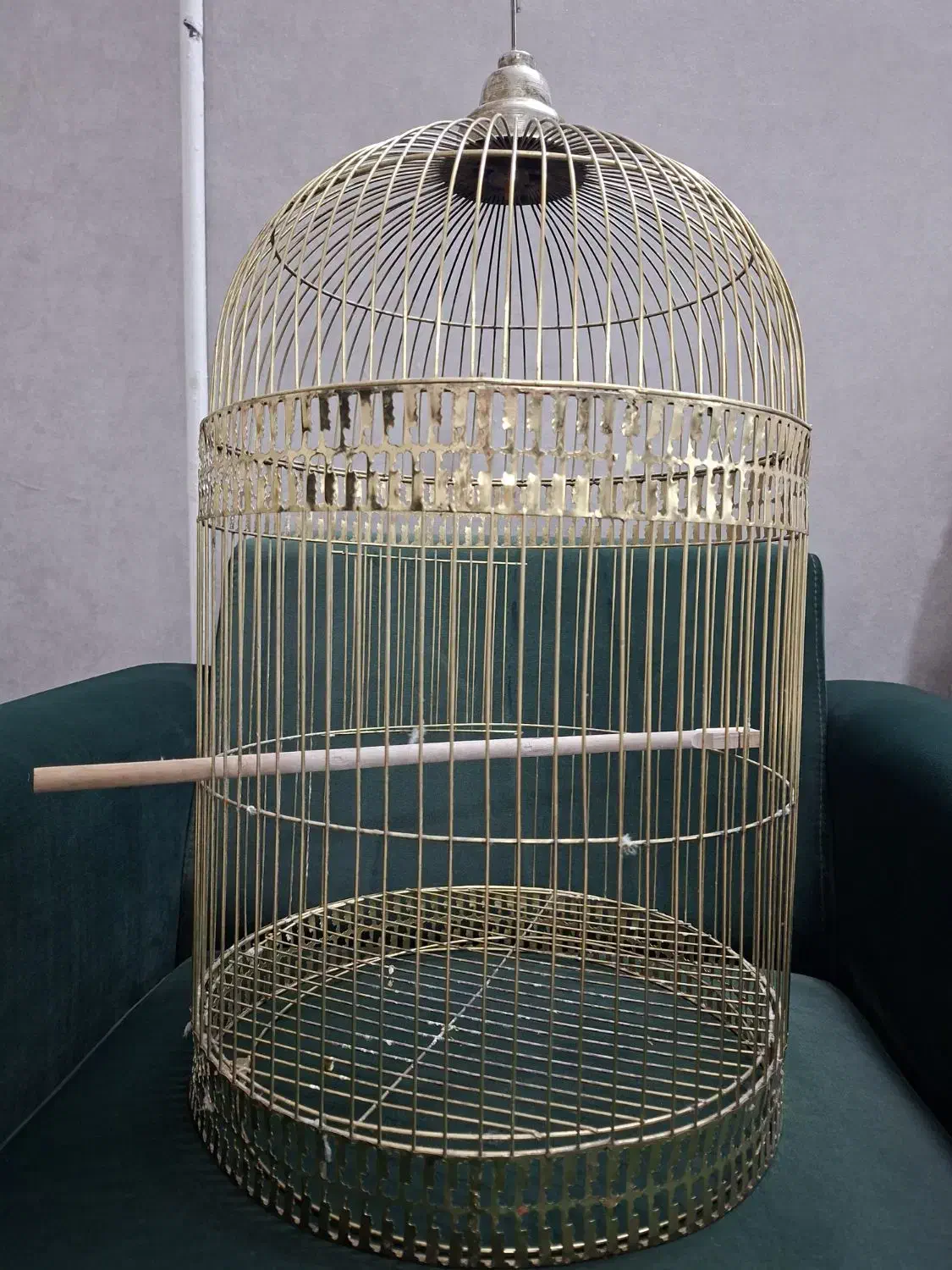 قفس شیک|لوازم جانبی حیوانات|مشهد, کوشش|دیوار