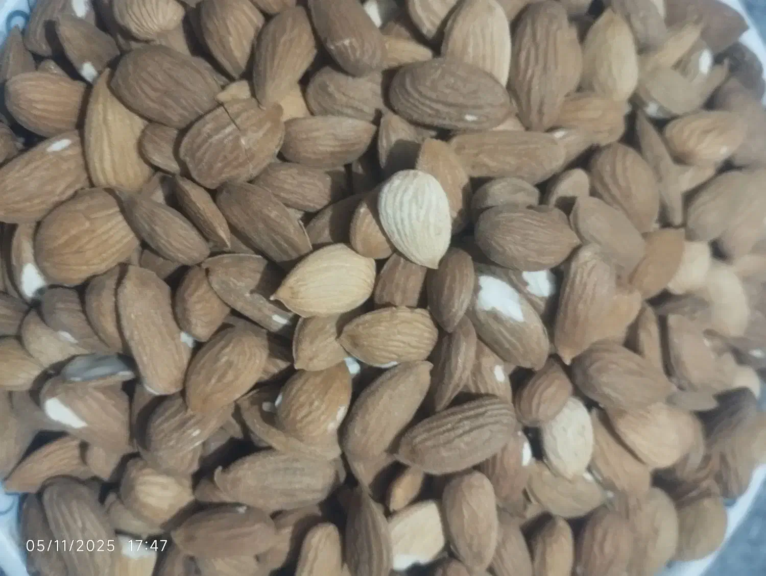 مغز بادام کوهی کیلو ۶۰۰ با برنج هم عوض میکنم|خوردنی و آشامیدنی|یاسوج, |دیوار