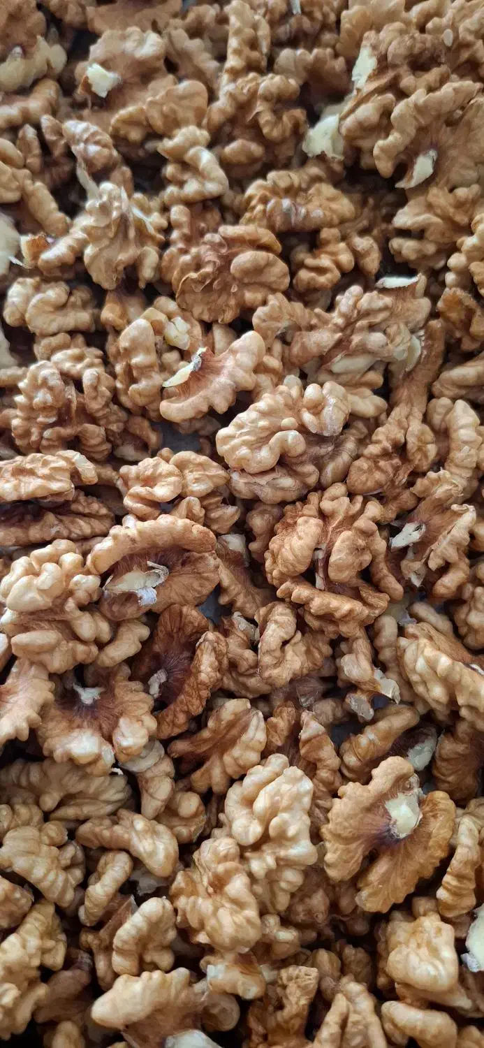 اجیل وخشکبار|عمده‌فروشی|لاهیجان, پردسر|دیوار