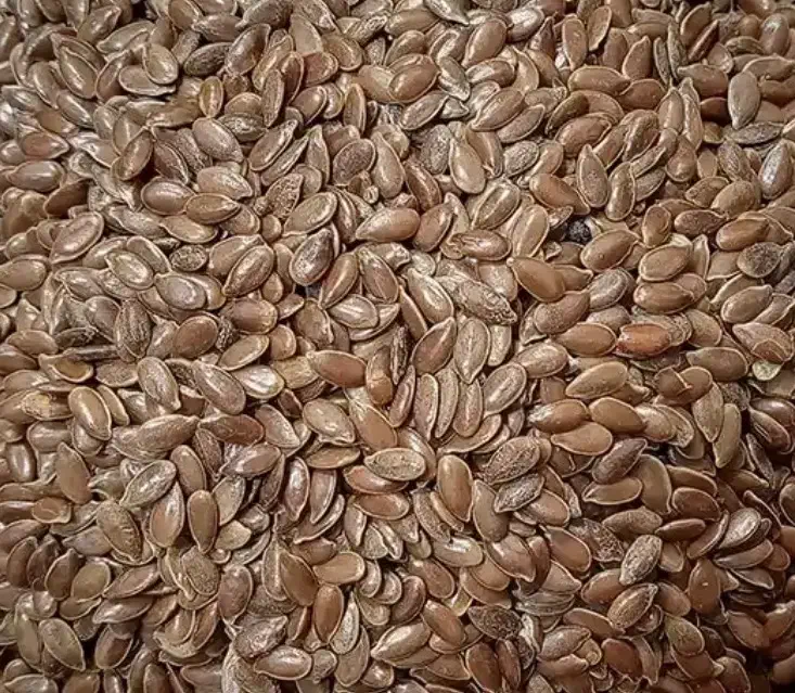 عمده تخم کتان|خوردنی و آشامیدنی|شیراز, باغ تخت|دیوار