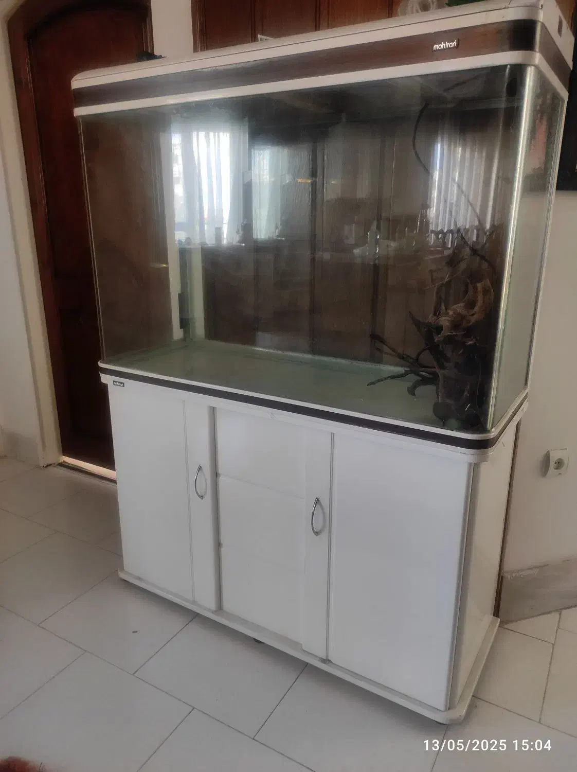 آکواریوم بزرگ شرکت ماهیران|ماهی|مشهد, فارغ التحصیلان|دیوار