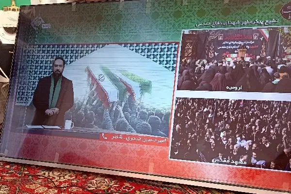 تلویزیون دوو|تلویزیون و پروژکتور|فیرورق, |دیوار