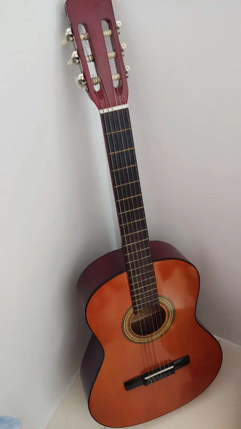 گیتار آکوستیک فندر|گیتار، بیس، امپلیفایر|پرند, فاز ۶|دیوار