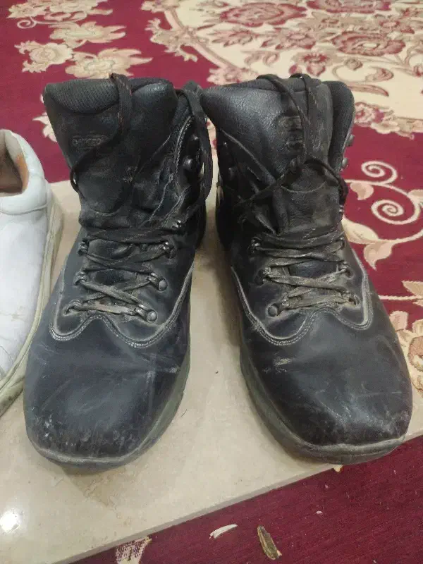 پوتین وکتونی|کیف، کفش، کمربند|زنجان, |دیوار