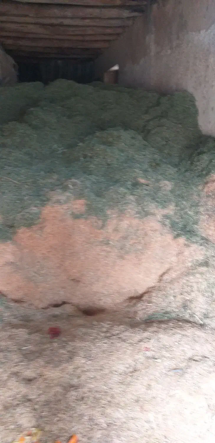 فروش یونجه وسامان|عمده‌فروشی|رزن, |دیوار