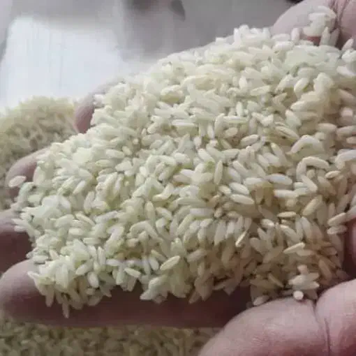 برنج لنجان درجه یک|خوردنی و آشامیدنی|لنجان, |دیوار