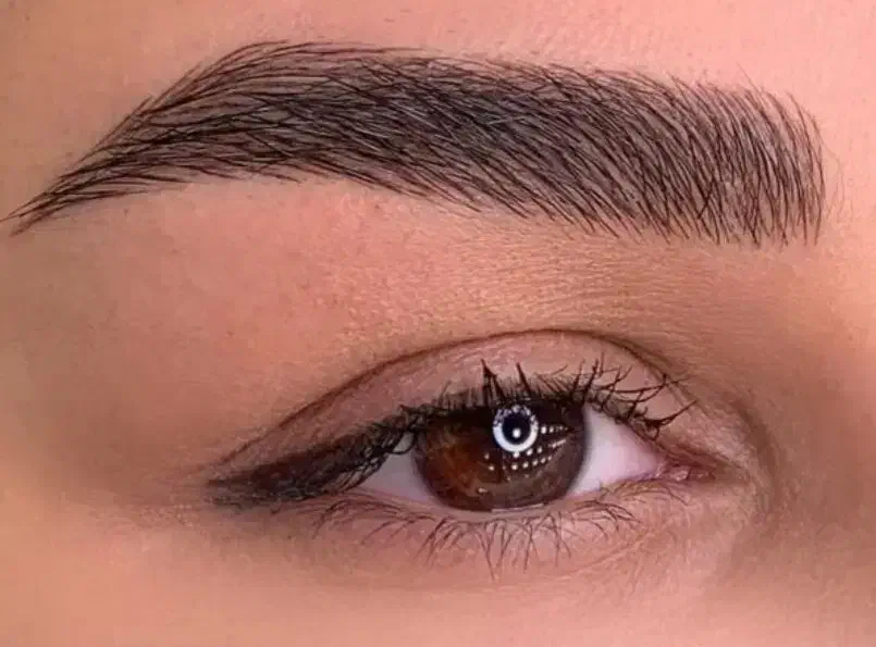 مدل ابرو و لب با تخفیف ویژه زیر نظر مدرس|خدمات آرایشگری و زیبایی|تهران, شهران شمالی|دیوار