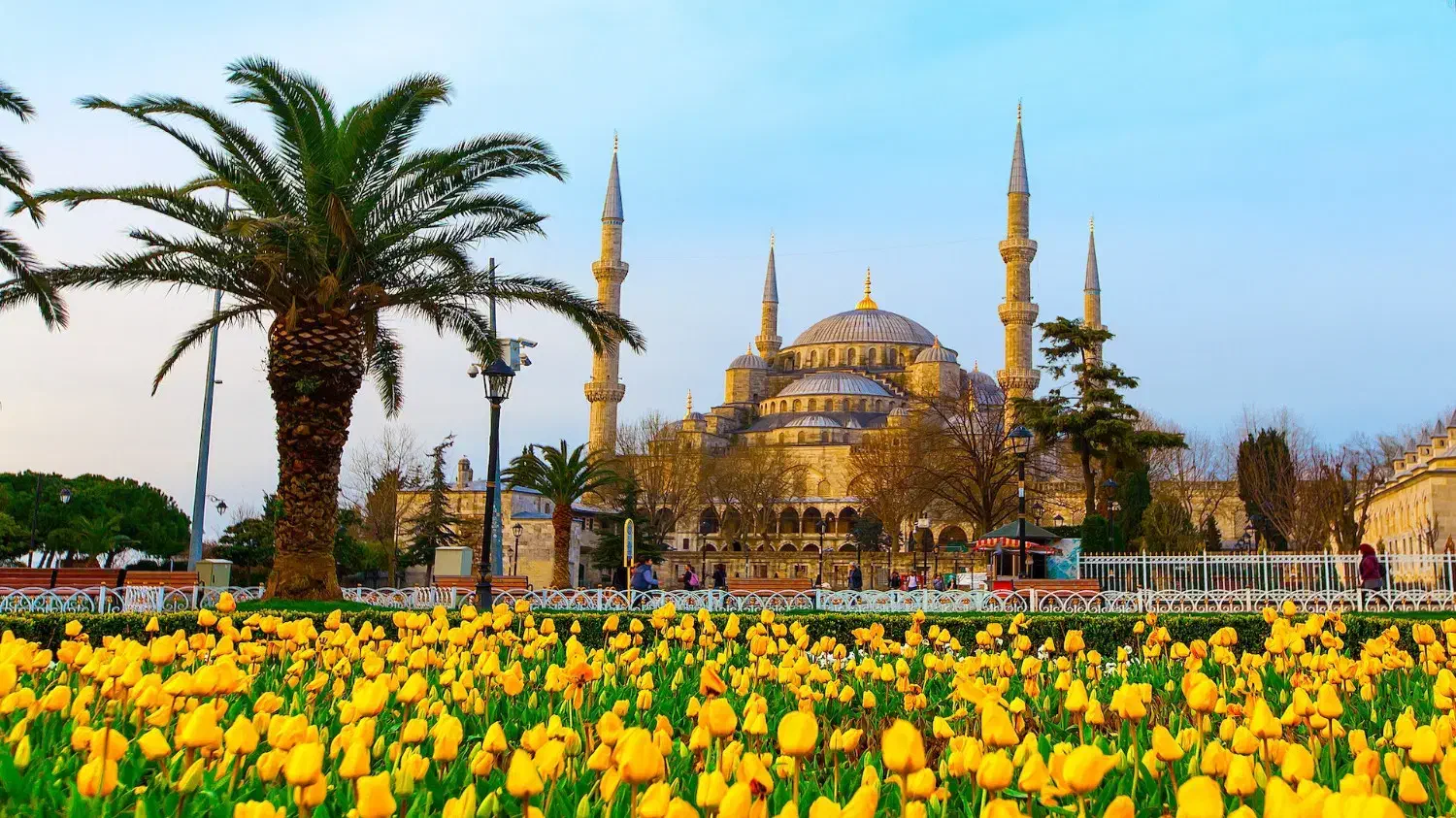 تور پاییز ترکیه باصبحانه نهارشام 10شب استانبول|تور و چارتر|تهران, یوسف‌آباد|دیوار