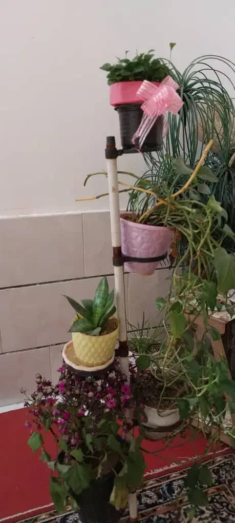 تابلو وجا گلدون|تابلو، نقاشی، عکس|بروجرد, |دیوار