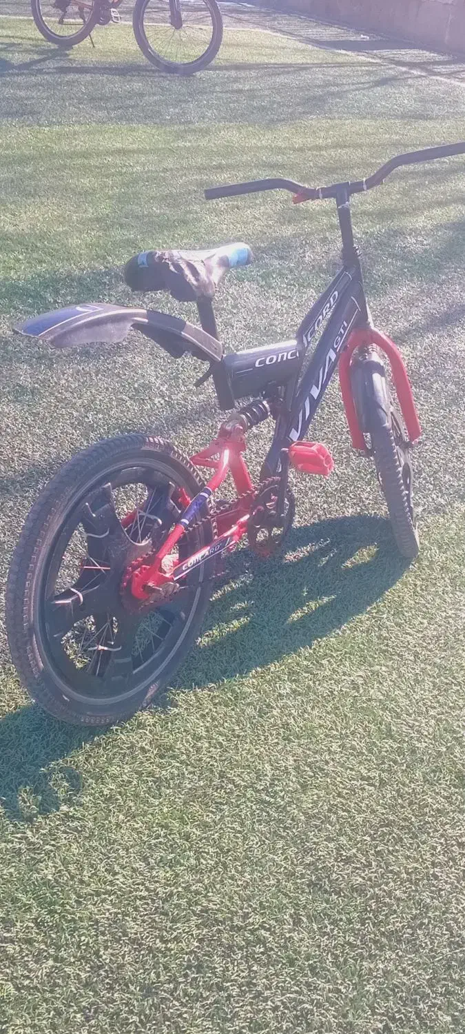 دوچرخه سایز ۲۰ عروسک|دوچرخه، اسکیت، اسکوتر|گنبد کاووس, |دیوار