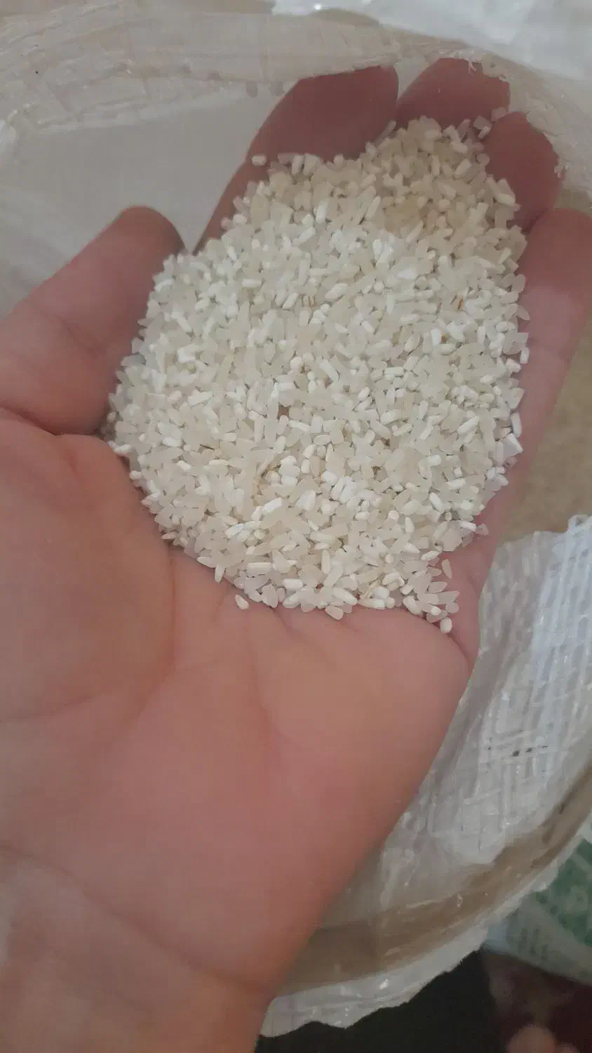 لاشه فجرسوزنی|خوردنی و آشامیدنی|سرخنکلاته, |دیوار