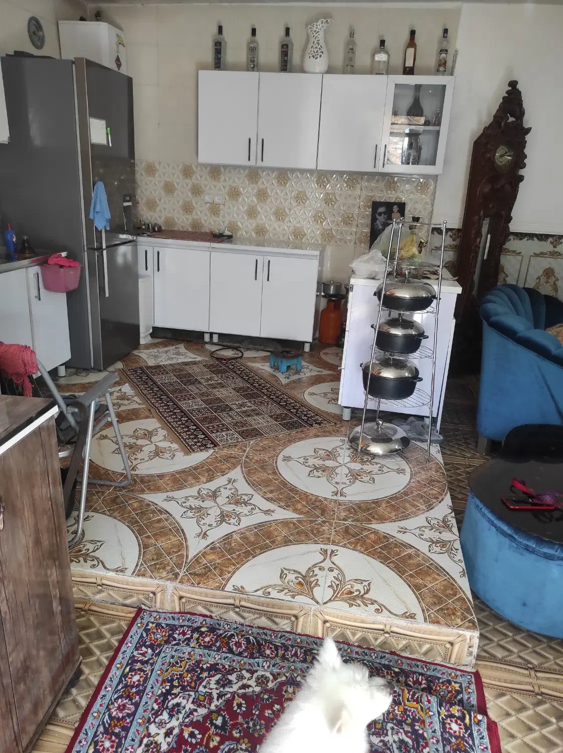 واحد۱خوابه نوساز در محله پاکویه|اجارهٔ خانه و ویلا|شیراز, جوادیه|دیوار