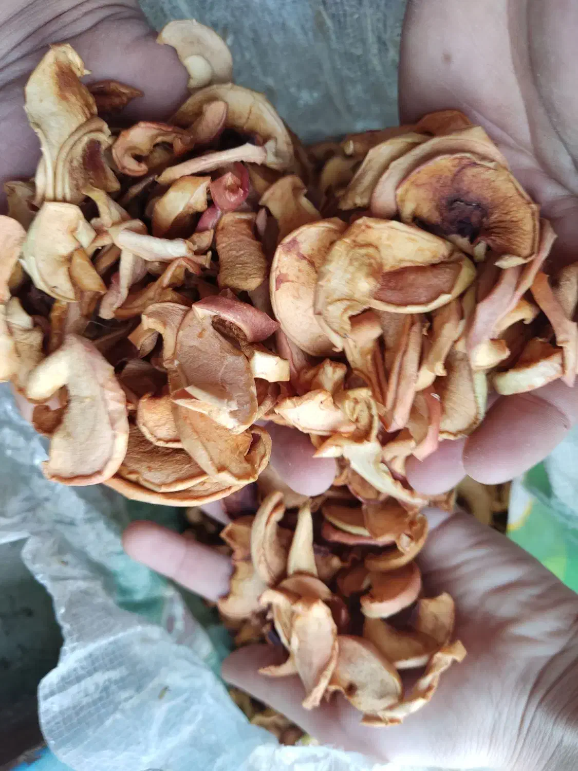 برگه سیب|خوردنی و آشامیدنی|شیراز, شهرک والفجر|دیوار