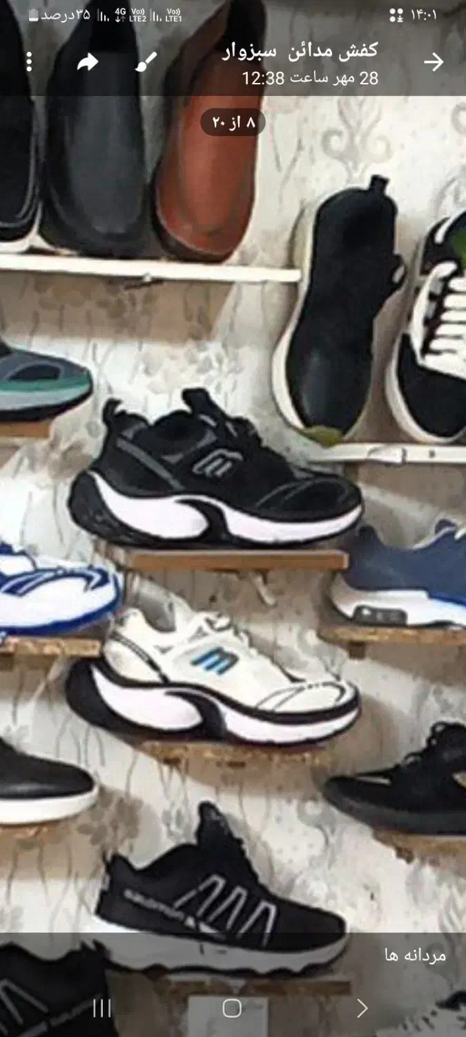 موکت طرحدار|موکت|سبزوار, امیر کبیر|دیوار