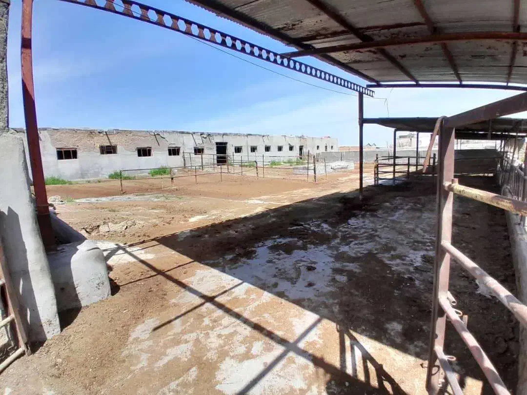 سالن 300 متری 1000 متر محوطه حاشیه جاده فریمان|اجارهٔ دفتر صنعتی، کشاورزی، تجاری|مشهد, طرق|دیوار