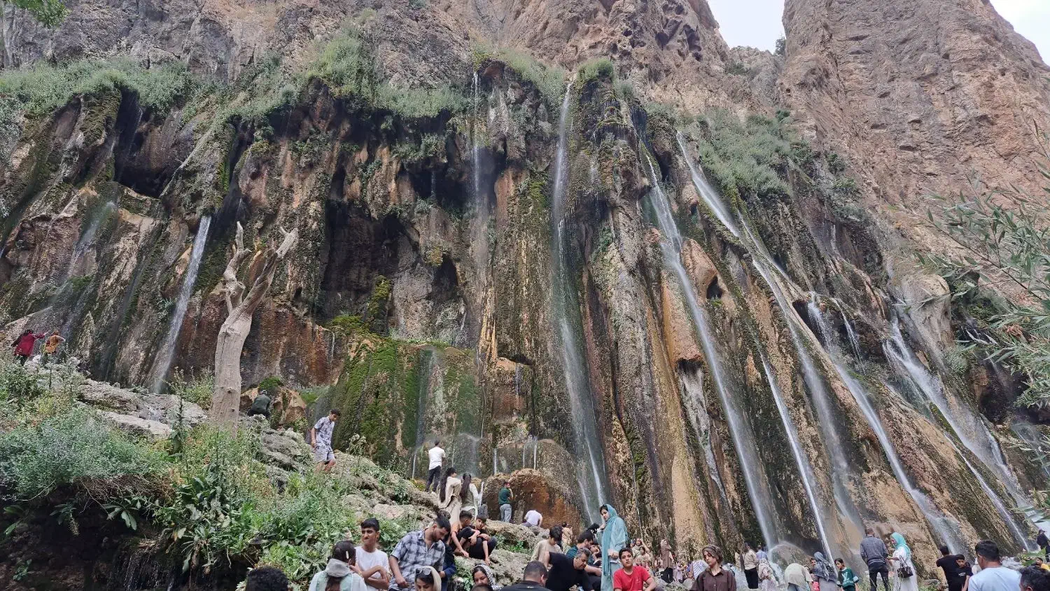 راهنمایی|فعالیت داوطلبانه|شیراز, شهرک گلستان|دیوار