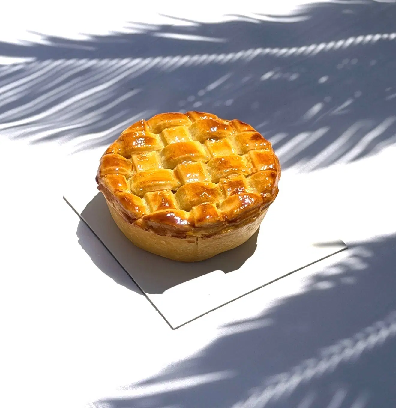 استخدام نیروی خدماتی و نظافتی|استخدام سرایداری و نظافت|تهران, شمسآباد|دیوار