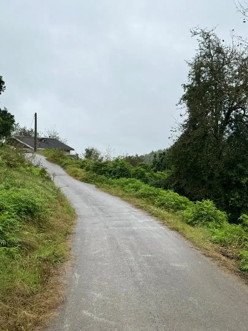 250 متر مسکونی ویوجنگلی، کاسبی|فروش زمین و ملک کلنگی|املش, |دیوار