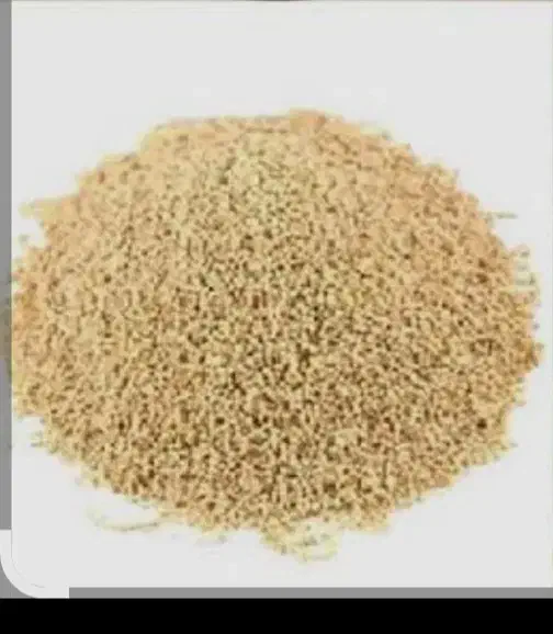 بذرکشاورزی|گل و گیاه طبیعی|کوهدشت, |دیوار